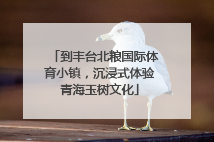 到丰台北粮国际体育小镇，沉浸式体验青海玉树文化